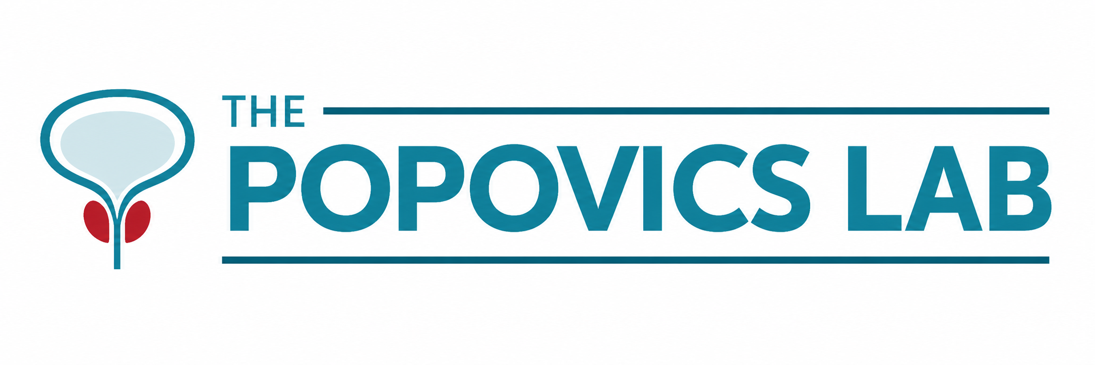 The Popovics Lab logo